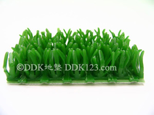 “DDK芬特潔”增金草圖片-淘金草圖片